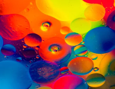 Miniatura: „Kolorowy” quiz ortograficzny. Można...