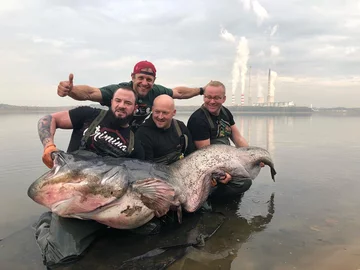 Sum złowiony w Zalewie Rybnickim 