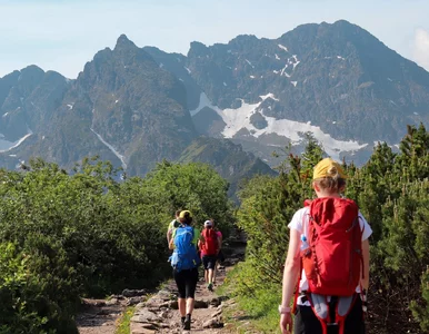 Miniatura: Wiemy, ile osób odwiedziło Tatry w te...