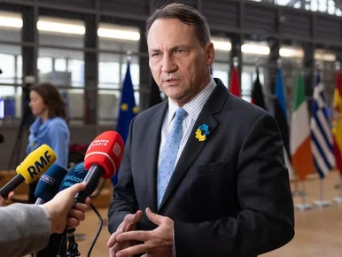 Miniatura: Radosław Sikorski o Ukrainie na Radzie do...