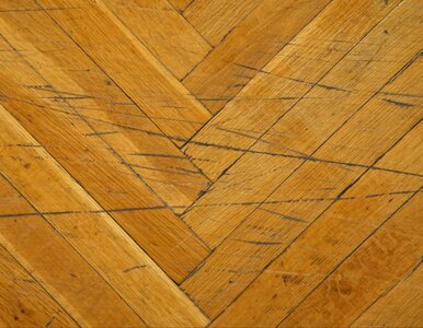 Miniatura: Cykliniarz ci tego nie powie. Domowe i...