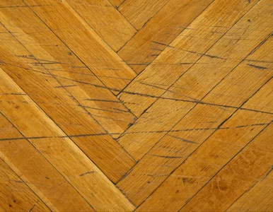 Miniatura: Cykliniarz ci tego nie powie. Domowe i...