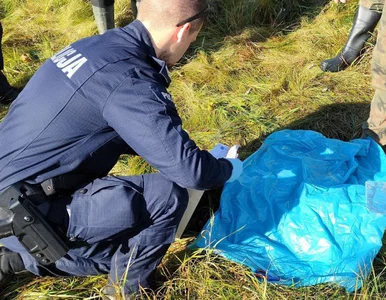 Miniatura: Po powodzi znaleźli worek. Był wypchany...