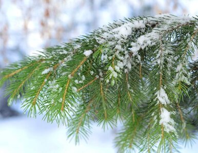 Miniatura: Północne Włochy pod śniegiem