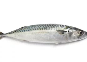 Miniatura: Znasz się na rybach? Sprawdzimy w tym QUIZIE