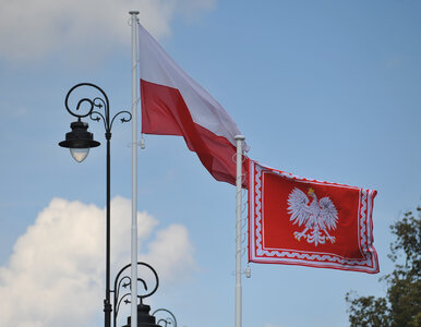 Miniatura: Polska zyska nowy symbol narodowy? Trwają...