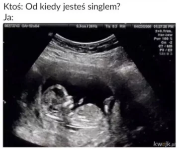 Mem na Dzień Singla 