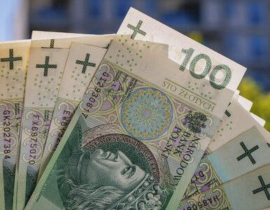 Miniatura: Masz oszczędności? Sprawdź, czy wystarczą,...