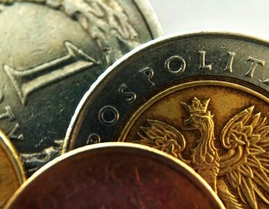 Miniatura: Złoty lepszy od euro, dolara i franka