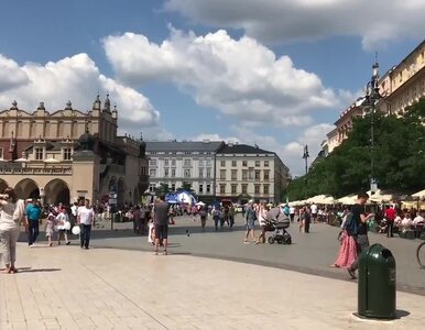 Miniatura: Plaga w polskim mieście. „W biały dzień...