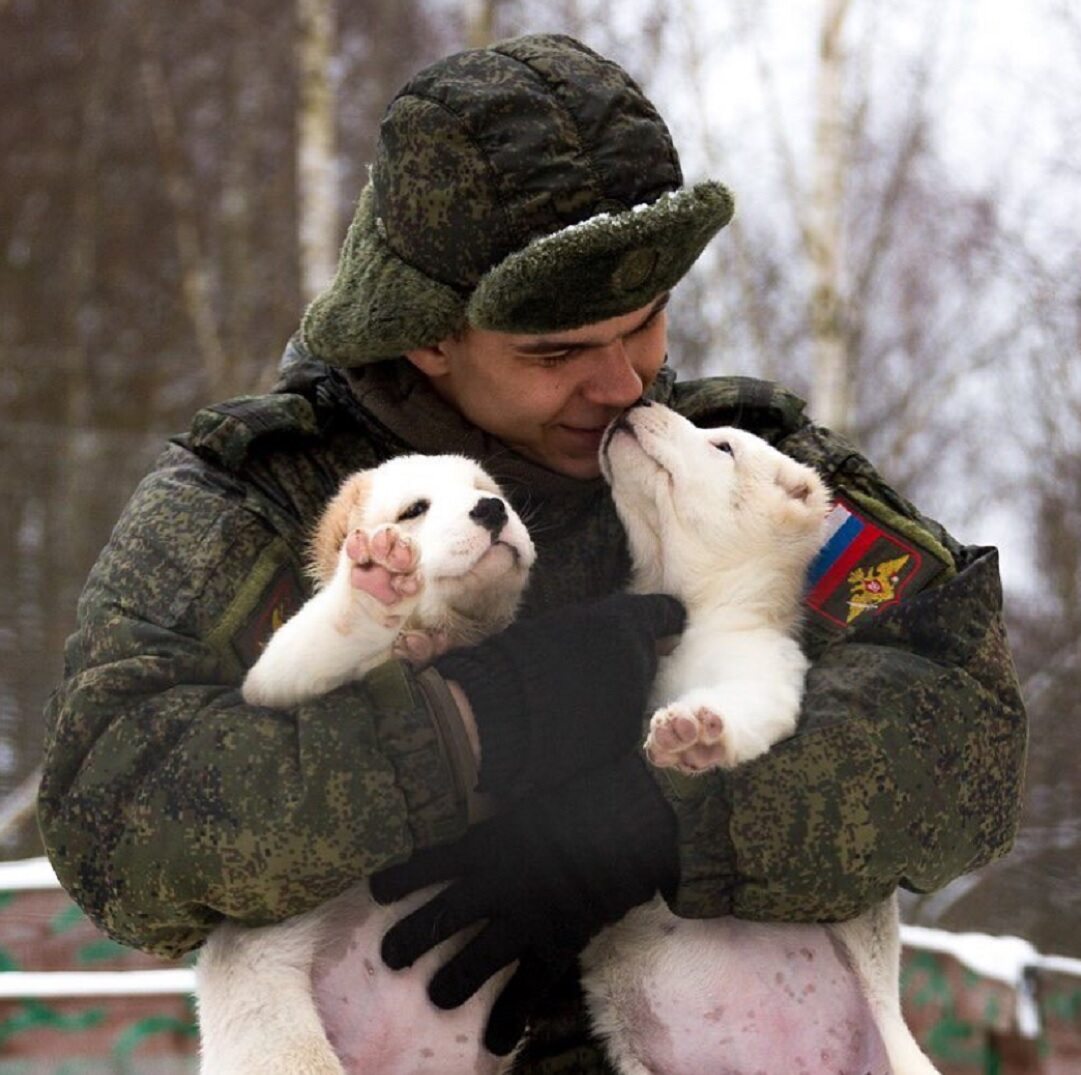 Psy szkolone są w 170. Centrum Rosyjskich Sił Zbrojnych 