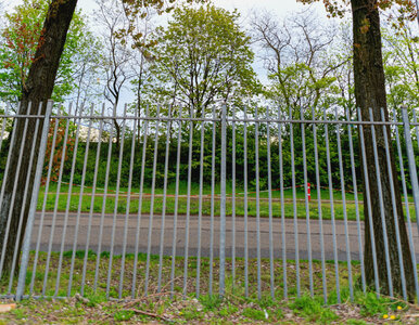 Miniatura: Postawisz wyższy płot? Lepiej uważaj –...