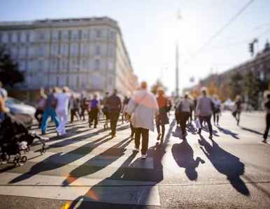 Miniatura: Jak sprawdzić, czy po szczepionce...