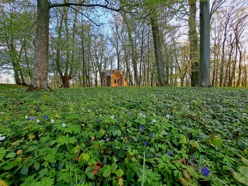 Park w Nakomiadach na Mazurach wiosną 