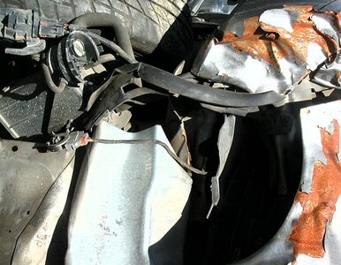 Miniatura: Chciał przestraszyć matkę. Udało się....