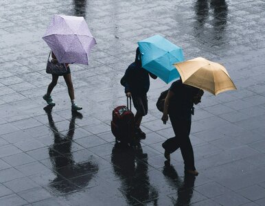 Miniatura: Szykuje się niespokojny pogodowo weekend....