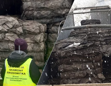 Miniatura: Polska zalewana odpadami z Niemiec. 23...