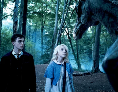 Miniatura: Ekstremalnie trudny quiz z filmu „Harry...