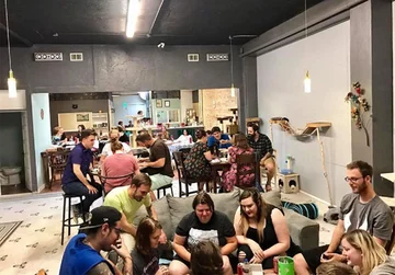 Koty w Safe Haven Pet Sanctuary 