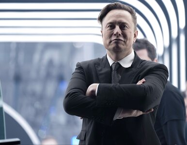 Miniatura: Musk chce rozdawać milion dolarów...