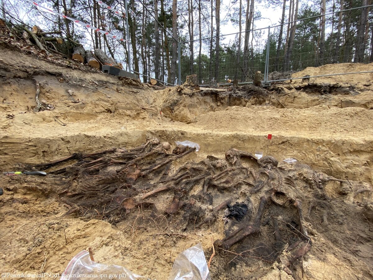 Zbiorowa mogiła znaleziona w lesie pod Warszawą 