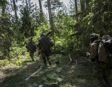 Miniatura: NATO, policja, TK, media publiczne i...