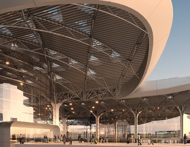 Miniatura: Tak będzie wyglądał terminal i dworzec...