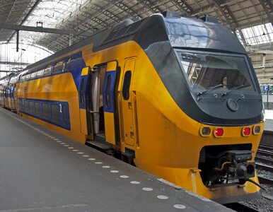 Miniatura: Katastrofa kolejowa w Holandii. Wagon...