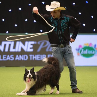 Miniatura: Crafts. Te psy potrafią zrobić prawdziwe show