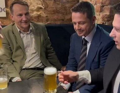 Miniatura: Awanturował się podczas piwa Sikorskiego i...