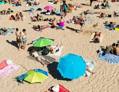 Miniatura: Dokąd Polacy polecą na wakacje? Znamy...