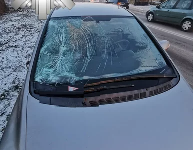 Miniatura: Troje dzieci potrącone na Mazowszu. Groza...