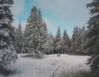 Miniatura: Nielegalni uchodźcy błąkali się w...