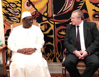 Miniatura: Grupa Azoty ambasadorem Polski w Senegalu