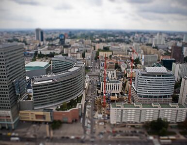 Miniatura: Polskie firmy podbijają europejskie rynki