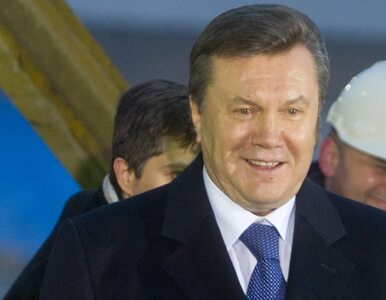 Miniatura: Zbojkotowany Janukowycz odwołuje szczyt w...