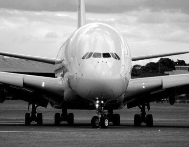 Miniatura: Strajk stewardess paraliżuje niebo nad...