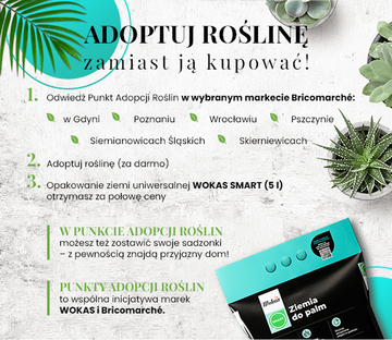 Adoptuj roślinę, zamiast ją kupować! &ndash; infografika