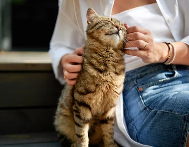 Miniatura: Tak możemy zbudować chemiczną więź z...