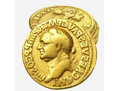 Miniatura: Anglia: uczniowie znaleźli skarby Rzymian