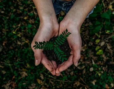 Miniatura: Dzień Ziemi powinien być codziennie
