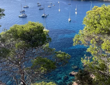 Miniatura: Młoda turystka „umierała w agonii”....