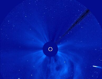 Miniatura: Kometa ISON zbliży się do Słońca. Dziś...