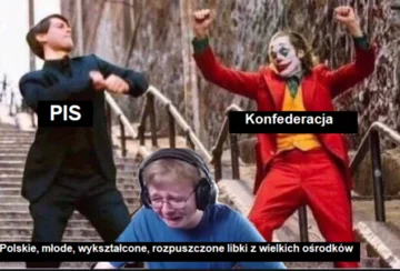 Mem po wyborach parlamentarnych 2019 