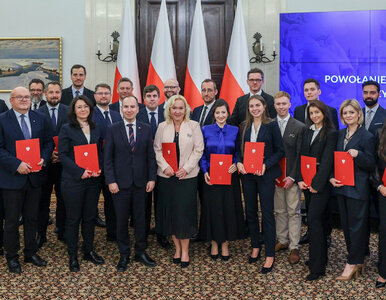 Miniatura: Wątpliwości w sprawie Rady Nowych Mediów....
