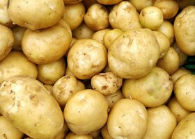 Miniatura: Co wiesz o ziemniakach? 
70% osób nie...