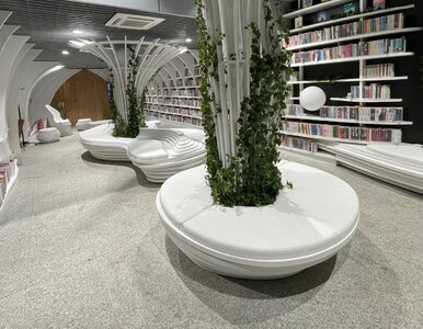 Miniatura: Polska atrakcja stała się hitem. Pisano o...