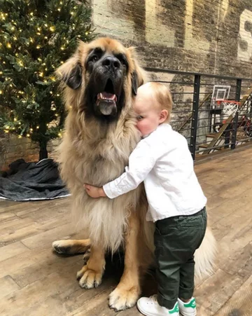 Lamont i jego przyjaciele 