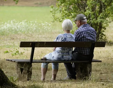 Miniatura: Piętnasta emerytura przed wyborami?...