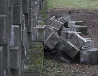 Miniatura: Chuligani zdewastowali cmentarz w Gdańsku....